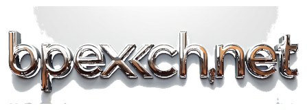bpexch net logo